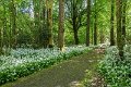 Springtime in Monaghan 2013 (33)